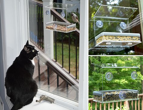 CAT TV PetfusionWindowBirdfeeder Bird Feeder On Window, In Window Bird Feeder, Inside Window Bird Feeder, Cat Proof Bird Feeder, Cat Puzzle Feeder, Platform Bird Feeder, Squirrel Feeders, Jackson Galaxy, Window Bird Feeder