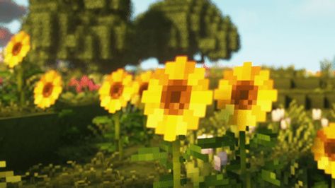 Yellow Flowers Discord Banner, Yellow Gifs Aesthetic, Notion Yellow Aesthetic, Minecraft Gifs Aesthetic, Yellow Minecraft Aesthetic, Minecraft Banner Aesthetic, Yellow Banner Minecraft, Sunflower Banner Discord, Bee Banner Discord