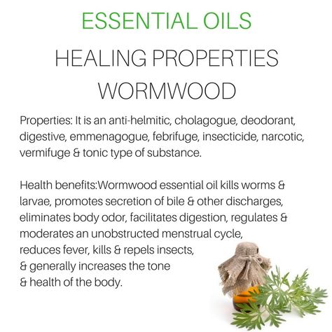 Wormwood Essential Oils Benefits Of Wormwood, Wormwood Benefits, Herbs Remedies, Healing Essential Oils, Healthy Wealthy, Essential Oils Herbs, Feminine Health, Magical Herbs, Home Health Remedies