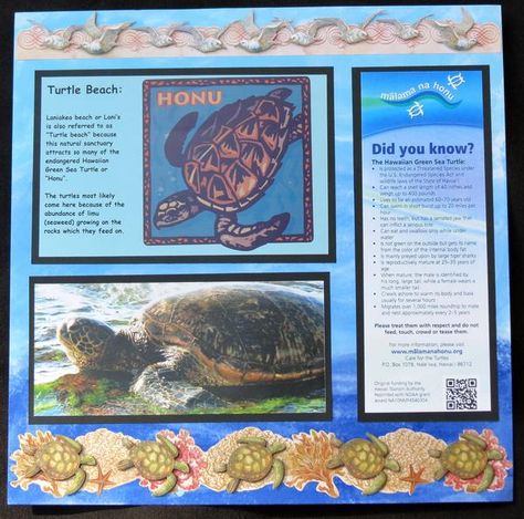 Hawaii - Turtle Beach RIght Australia Scrapbook, Scrapbook Hawaii, Scrapbook 2022, Scrapbooking Vacation, Paris Scrapbook, Hawaii Scrapbook, Cruise Scrapbook Pages, Scrapbook Beach, Sea Turtle Pictures