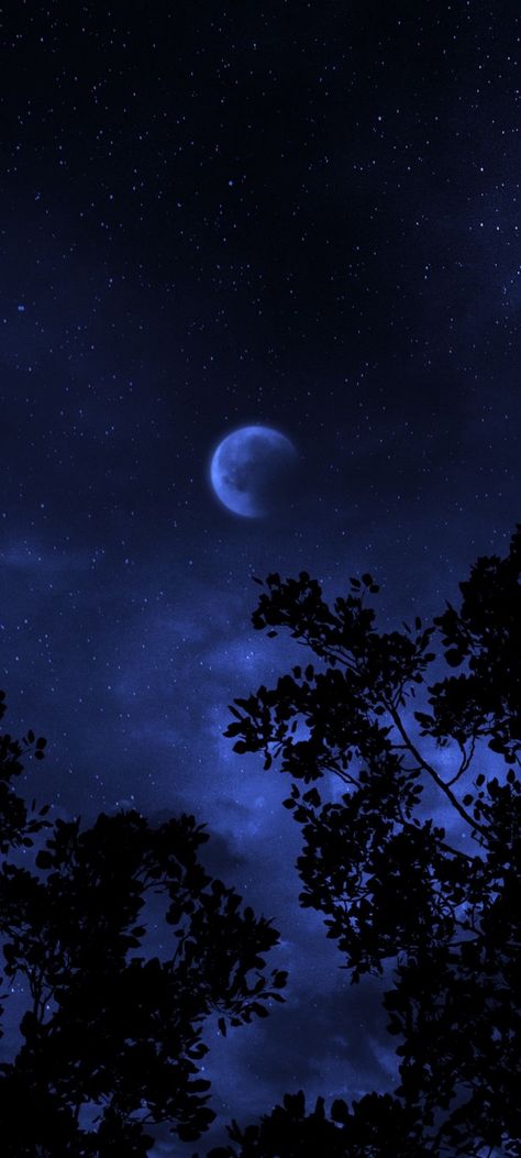 Night Themed Wallpaper, Night Blue Aesthetic Wallpaper, Blue Colour Wallpaper Iphone, Deep Blue Wallpaper Aesthetic, Blue Moonlight Aesthetic, Blue Witchy Aesthetic, Crescent Moon Wallpaper Aesthetic, Dark Blue Moon Wallpaper, Blue Night Sky Aesthetic