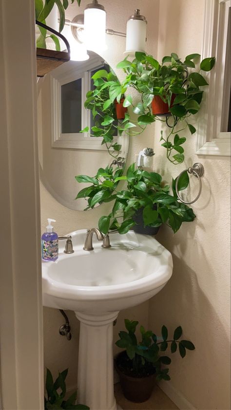 Plant In Bathroom Small Spaces, No Sunlight Room Ideas, Bathroom Decor Plants Small Spaces, Plant Theme Bathroom, Vines In Bathroom, Shower Plants Bathroom, Plants In Shower Ideas, Plant Bathroom Aesthetic, Bathroom Plants Ideas