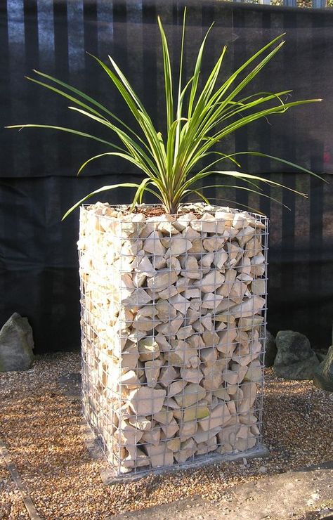 Gabion Planter, Gabion Wall, Garden Show, Elegant Flowers, Landscape Projects, Backyard Decor, Rock Garden, Small Garden, Garden Planters