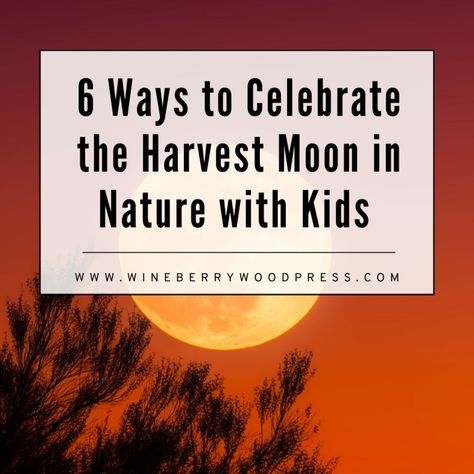 Celebrating the Harvest Moon with Kids in Nature – Wineberry Wood Press Easy Harvest moon activities Mid-autumn festival rabbit in the moon. fall nature recipes kids full moon crafts autumn nature celebration full moon names Harvest Moon Celebration, Harvest Moon Craft, Harvest Moon Activities, Harvest Moon Crafts For Kids, Harvest Moon Activities For Kids, Full Moon Crafts, Kids In Nature, September Magick, Nature Recipes