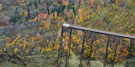 Allegheny National Forest, Forest Fall, Sky Walk, Road Trip Camping, Scenic Byway, Beautiful Forest, World Photo, On The Road Again, Natural Scenery