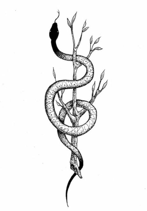 Snake Branch Tattoo, Snake On A Branch Drawing, Snake On Branch Tattoo, Snake On Tree Drawing, Snake On A Branch, Tree Branch Tattoo, Apple Tattoo, Drawing Apple, Branch Drawing