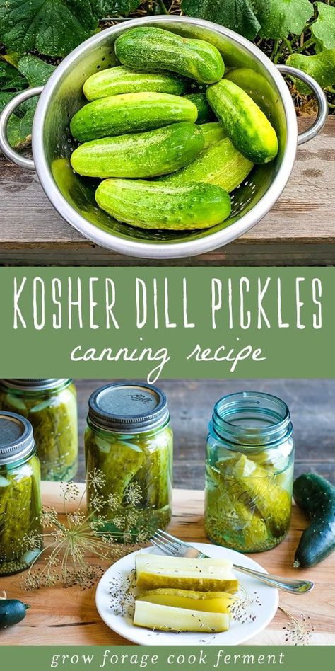 These kosher dill pickles are so delicious and a perfect canning recipe for beginners. Can your own homemade dill pickles with garden fresh ingredients! #dillpickles #canning #BallProudlyHomemade #ad Easy Refrigerator Pickles No Cook, Canning Refrigerator Pickles, Canned Cucumbers Pickles Recipe, How To Can Pickles Canning Recipes, Making Pickles From Cucumbers Easy, Can Cucumbers Pickles Recipe, How To Make Your Own Pickles, Easy Sweet Pickle Recipe, Refridge Pickles Bread And Butter