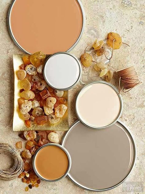 Terra-cotta, putty, khaki, taupe, and amber colors evoke images of rocky landscapes, prehistoric finds, and sandy deserts. Ranging from light to dark, the tones nicely play off one another to quietly add dimension to rooms meant for relaxing. Neutral Paint Palettes Neutral Paint Palette, Interior Paint Colors Schemes, Yellow Paint Colors, Paint Color Schemes, Yellow Paint, Purple Decor, Nature Color Palette, Grey Color Scheme, Neutral Paint