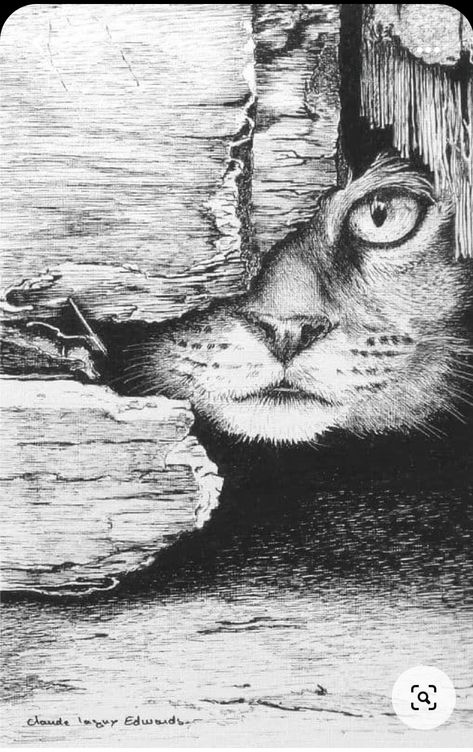 Landscape Pencil Drawings, Pen Art Work, Pencil Drawings Of Animals, Pen Art Drawings, Drawing Faces, White Drawing, Art Sketches Pencil, Art Drawings Sketches Pencil, Charcoal Art