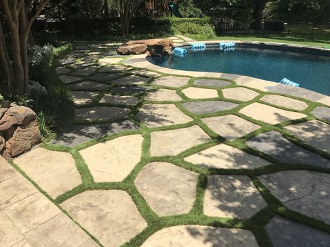 Pavers And Grass Around Pool, Artificial Turf And Paver Patio, Pools With Turf And Pavers, Concrete And Turf Pool Deck, Pool With Artificial Turf And Pavers, Turf And Paver Pool Deck, Grass Alternatives, Clover Lawn, Pool Pics