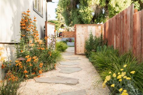 How to Keep Your Yard Healthy and Attractive With Less Water Beach House Landscaping, Ways To Conserve Water, California Native Plants, Coastal Modern, Coastal Gardens, Earth Design, California Coastal, Modern Beach, Coastal Landscape