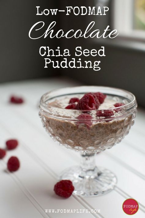 Fodmap Breakfast, Low Fodmap Snacks, Fodmap Snacks, Chocolate Chia Seed Pudding, Pudding Chia, Chia Seed Recipes Pudding, Ibs Recipes, Chocolate Chia Pudding, Food Map