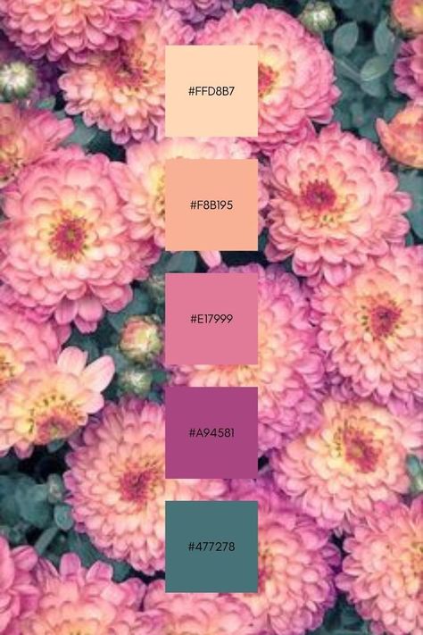 Pink Rose Color Palette, Color Design Inspiration, Hex Color Palette, Color Schemes Colour Palettes, Color Palette Pink, Color Palate, Color Palette Design, Wedding Color Palette, Color Inspo