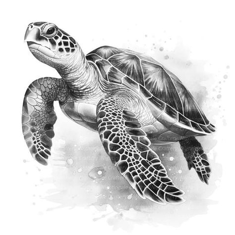 Sea Turtle Drawing Realistic, Realistic Turtle Drawing, Sea Turtle Drawing Sketches, Tattoo Tortuga, Sea Tattoo Sleeve, Hawaiian Turtle Tattoos, Ocean Creatures Art, Turtle Sketch, Sea Turtle Drawing