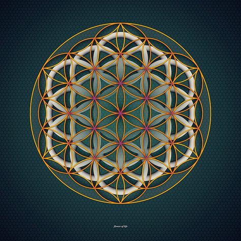 Flower of Life Wallpaper Flower Of Life Tattoo, Sacred Geometry Patterns, Sacred Geometry Symbols, Sacred Geometric, The Flower Of Life, Sacred Geometry Art, Mandalas Drawing, Geometry Pattern, Geometry Art