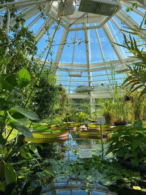 Garden Greenhouse Aesthetic, Greenhouse Garden Aesthetic, Aesthetic Botanical Garden, Botanics Aesthetic, Greenhouse Botanical Garden, Orangery Aesthetic, Botanical Gardens Aesthetic, Wedding Botanical Garden, Greenhouses Aesthetic