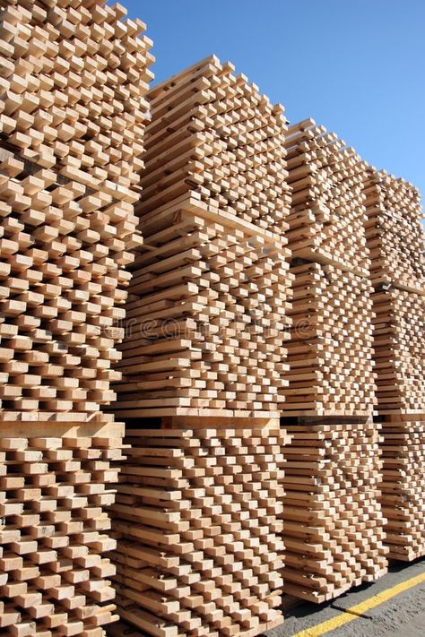 Factory. Lumber being processed at a forest products sawmill-pallets , #affiliate, #processed, #Lumber, #Factory, #forest, #pallets #ad Agriculture Photography, Factory Photography, Wood Mill, Church Poster Design, Church Poster, Yard Design, Corporate Design, Perfect World, Lumber