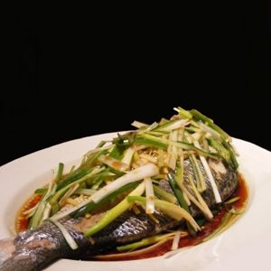 Chinese Steamed Fish Steamed Tilapia, Chinese Steamed Fish, Steamed Fish Recipes, Sea Bass Recipes, White Fish Recipes, Khmer Food, Steamed Fish, Ginger Sauce, Vietnamese Food