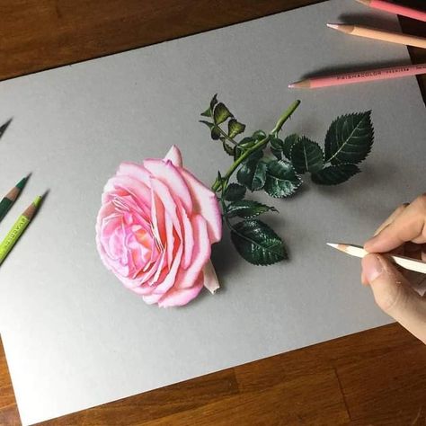 Drawing Rose Flower, Drawing A Rose, Ftd Flowers, Drawing Rose, Prismacolor Art, Realistic Rose, Colored Pencil Artwork, Rose Flower Wallpaper, Rose Drawing