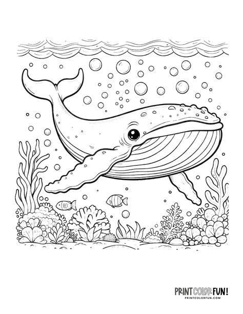 Whale Coloring, Memorial Day Coloring Pages, Zoo Animal Coloring Pages, Ocean Adventure, Sing 2, Cute Whales, Zoo Animal, Animal Coloring, Animal Coloring Pages