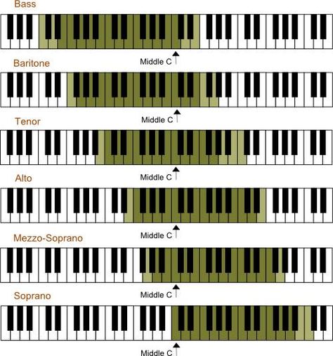 Vocal Warmups, Vocal Training, Vocal Lessons, How To Sing, Voice Lesson, Vocal Coach, Vocal Range, Singing Tips, Singing Lessons