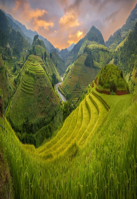 Rice fields in terraced with beautiful curves on high mountain by Extra Suriyachat - Photo 157686191 - 500px Vietnam Itinerary, Gung Ho, Travel Vietnam, Road Trip Car, Vietnam Tours, Green Mountains, High Mountain, Rice Fields, Rice Terraces