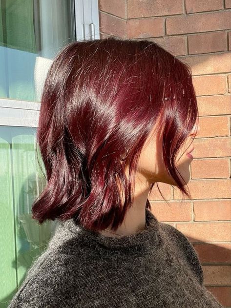 Cherry Red Hair Colors That Will Make You Shine Wine Red Bob Hair, Red Wine Short Hair, Plum Hair Short, Short Mahogany Hair, Cherry Hair Short, Dark Cherry Red Hair Short, Cherry Short Hair, Red On Dark Hair, Short Plum Hair