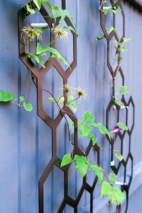 Could be made up of mitered pieces to save on material waste. Trellis Ideas Garden, Outdoor Trellis Ideas, Vertical Trellis, Garden Trellis Ideas, Wall Trellis, Trellis Ideas, Metal Trellis, Garden Frogs, Outdoor Trellis