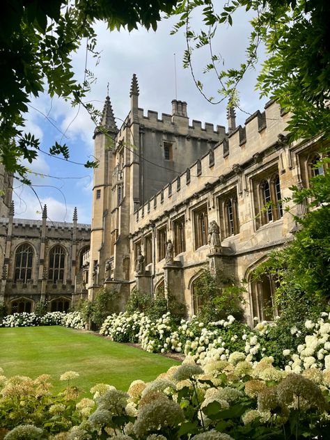 English College Aesthetic, Fancy School Exterior, Oxford University Acceptance, Oxford University Medical School, New College Oxford, Magdalen College Oxford, European University Aesthetic, Oxford Acceptance Letter, University Of Oxford Aesthetic