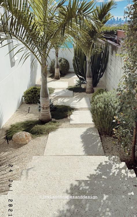 Bachelor House, Coastal Landscaping Ideas, Landscape Courtyard, Palm Springs Landscaping, Palm Springs Garden, Beach House Landscaping, Summer Drive, Waterfront House, Dubai Garden