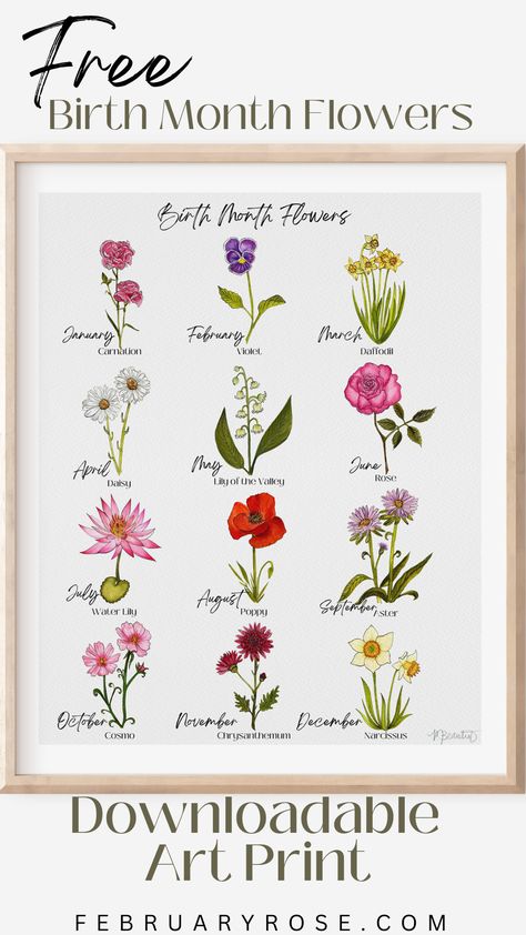 free art print watercolor birth month flowers carnation, daisy,daffodils,lily of the valley, rose,waterlily, poppy, aster, cosmo, chrysanthemum, narcissus, 12 months of the year Flowers For Each Month, Free Birth, Rosé Aesthetic, Rose Lily, Flower Collection, Birth Month Flower, Vibrant Flowers, Floral Inspiration, Month Flowers