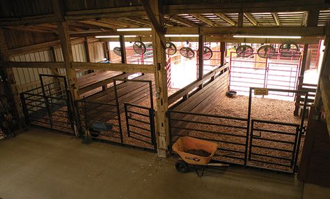 Show Cattle Barn, Livestock Barn, Barn Layout, Show Cows, Cattle Barn, Horse Barn Ideas Stables, Barn Stalls, Horse Barn Designs, Horse Shelter