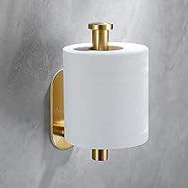 Gold Bathroom Hardware, Neutral Bathroom Decor, Brass Toilet, Bathroom Toilet Paper Holders, Toilet Tissue Holder, Neutral Bathroom, Limestone Wall, Toilet Tissue, Rv Remodel