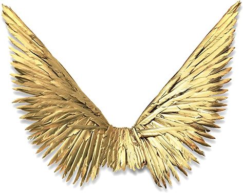 Gold Wings Costume, Saltburn Wings, Gold Wings Angels, Gold Fairy Wings, Feather Clothing, Angel Wings Halloween, Theme Nails, Fairy Goddess, Halloween Fits