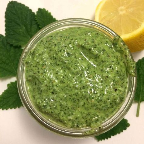 From Scratch Lemon Balm Pesto - Garden to Griddle Lemon Balm Pesto, Lemon Dishes, Lemon Balm Uses, Lemon Balm Recipes, Herb Ideas, Homestead Recipes, Honey Cornbread, Herb Recipes, Honey Mustard Sauce