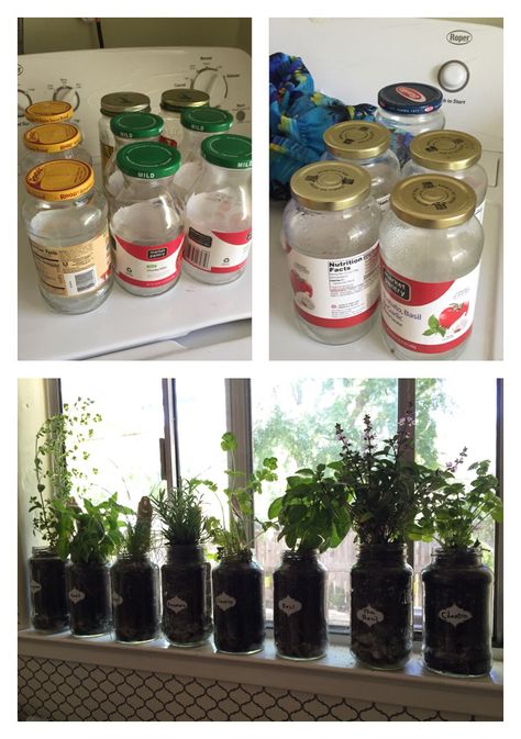 DIY Redo reuse repurpose old spaghetti sauce jars and salsa jars into indoor herb garden Salsa Jars Crafts Ideas, Repurposed Glass Jars, Spaghetti Jar Crafts, Repurpose Spice Jars, Spaghetti Jars Reuse, Pasta Jars Reuse, Salsa Jar Crafts, Upcycle Spaghetti Sauce Jars, Reuse Starbucks Glass Bottles