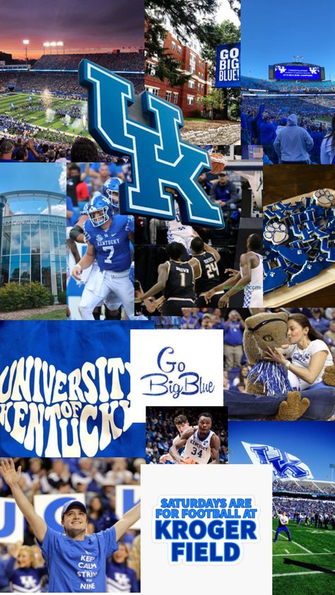 College Nursing, Go Big Blue, Kentucky Basketball, University Of Kentucky, Kentucky Wildcats, Big Blue, College Football, Wild Cats, Dream Life