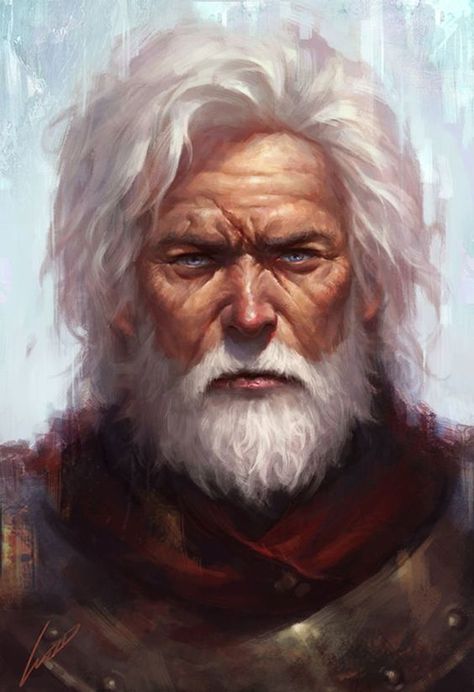 Man With White Hair, Old Warrior, Heroic Fantasy, Fantasy Portraits, Male Character, Human Male, Fantasy Male, Arte Fantasy, Fantasy Rpg