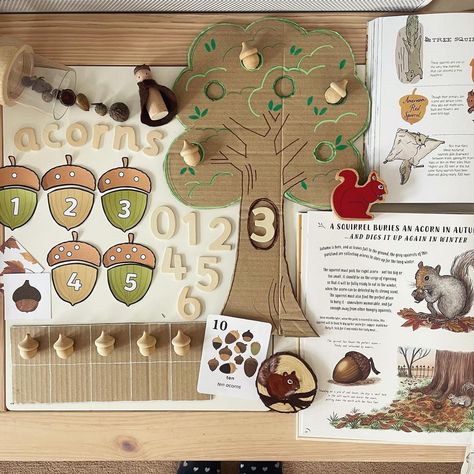 Acorn Activities, Squirrel Activities, Autumn Homeschool, Sensory Puzzle, Nature Anatomy, Tens Frame, Books Nature, Nature Based Learning, Early Childhood Education Activities