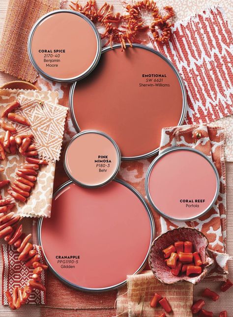 Color Report: Crushing on Coral Coral Wall Paint Bedroom, Dark Coral Paint Color, Sw Coral Paint Colors, Muted Coral Paint, Best Coral Paint Color, Salmon Color Bedroom, Colors That Go With Coral, Coral Wall Color, Coral Bathroom Ideas