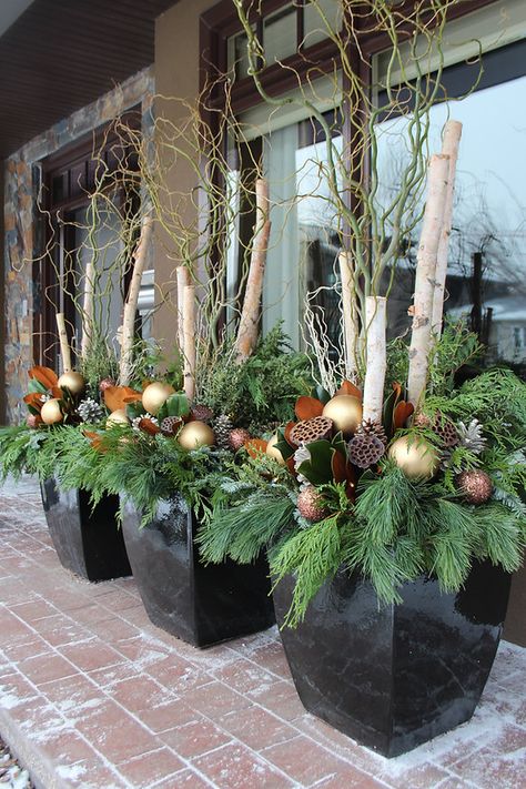 Winter Planter Ideas, Winter Planters, Christmas Urns, Outdoor Christmas Planters, Holiday Planter, Winter Planter, Christmas Pots, Christmas Planters, Front Porch Christmas Decor Ideas