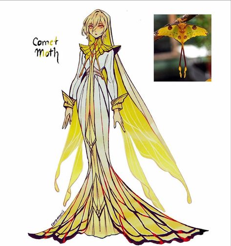 Pixie Character, Butterfly Oc, Butterfly Character, Comet Moth, The Comet, Looking For Work, Splash Art, Fashion Design Drawings, Drawing Clothes