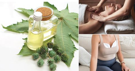 How To Apply Castor Oil On Breast? Castor Oil Uses, Breast Reduction, Home Basics, Holistic Wellness, Natural Health Remedies, Oil Uses, Castor Oil, Hair Health, Health Remedies