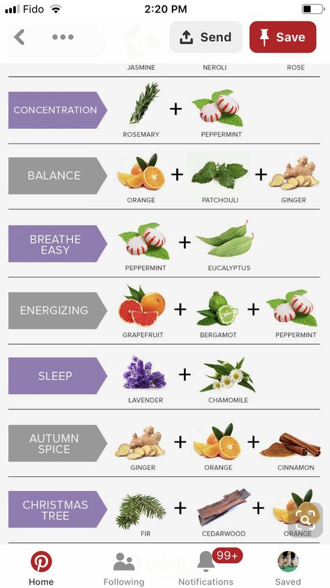 Scent Combos Essential Oils, Candle Combinations, Candle Scent Combinations, Fragrance Combos, Essential Oil Candle Recipes, Candle Scents Recipes, Lilin Aroma, Candle Making Recipes, Essential Oil Perfumes Recipes