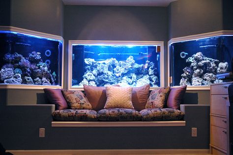 Gorgeous viewing area Aquarium Mural, Amazing Fish Tanks, Cool Aquariums, Aquarium Pictures, Custom Aquarium, Wall Aquarium, Acrylic Aquarium, Amazing Aquariums, Cool Fish Tanks