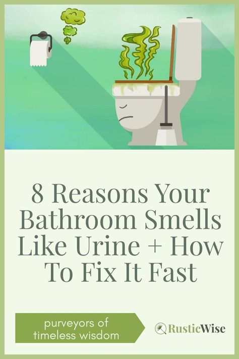 Smelly Bathroom, Pee Smell, Bathroom Odor, Smelling Good, Urine Smells, Bathroom Hacks, Urine Stains, Bathroom Smells, Toilet Room