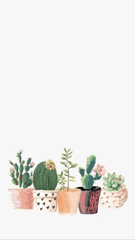 Succulent Wallpaper, Iphone Background Aesthetic, Succulents Wallpaper, On Wallpaper, Background Aesthetic, Aesthetic Iphone, Aesthetic Iphone Wallpaper, Iphone Background, Wallpaper Iphone