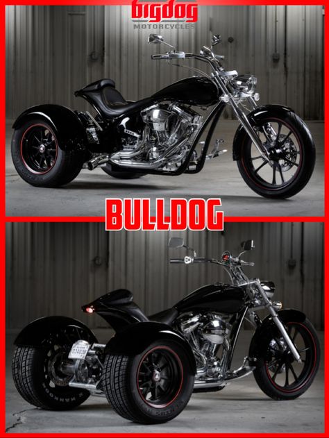 Big Dog Motorcycles breaks the leash with an All New Performance-Oriented Bulldog Trike.  Starting at $42,995 (£33,228).    http://bigdogisback.com/motorcycles/bulldog Dog Motorcycle, Big Dog Motorcycle, Trike Kits, Custom Trikes, Biking With Dog, Custom Street Bikes, Bobber Bikes, Indian Motorcycles, Trike Motorcycle