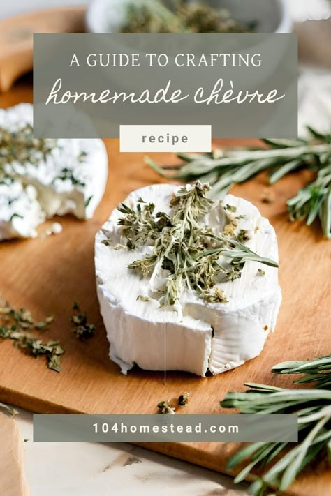 Discover the joy of making your own homemade chèvre. Learn to season, store, and enjoy homemade goat cheese. Perfect for beginners! Homemade Goat Cheese, Chevre Cheese, Goose Recipes, Cheese Making Recipes, Goat Milk Recipes, Goat Cheese Recipes, Best Christmas Recipes, Best Appetizer Recipes, Easy Cheese