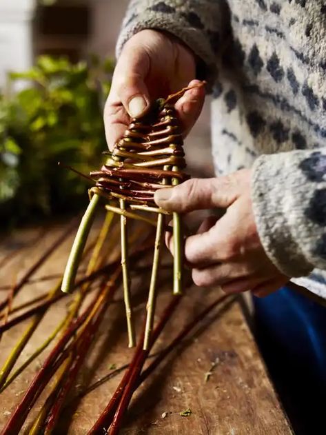 Make your own hanging willow Christmas decorations House With Plants, Hanging Christmas Decorations, Make Christmas Decorations, Gardening Gift, Christmas Hanging Decorations, Christmas Garden, Gift Inspiration, Outdoor Christmas Lights, Willow Tree